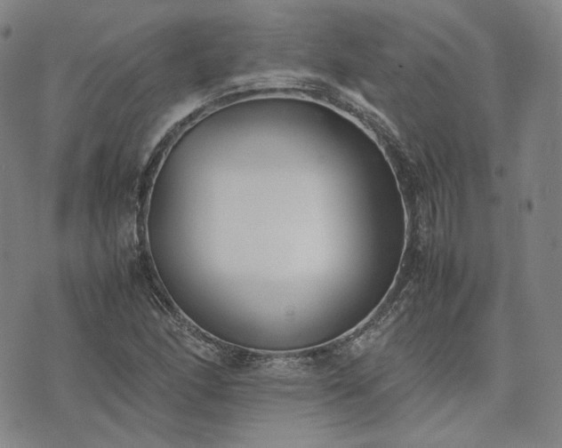 X0000074311166200609011505