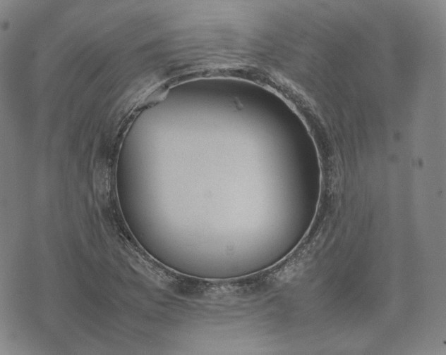 X0000074311169200609011505