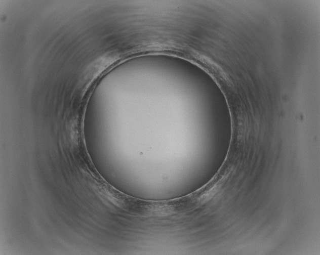 X0000074311170200609011505