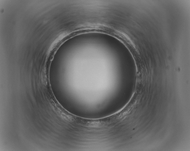 X0000074311172200609011505