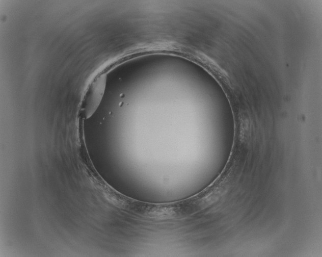 X0000074311174200609011505