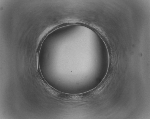 X0000074311175200609011505