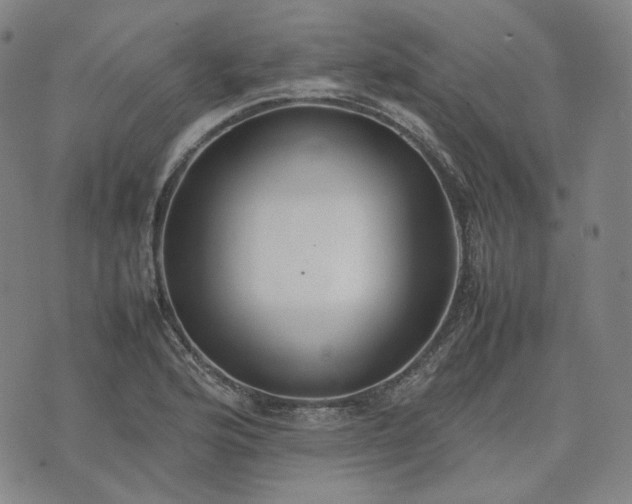 X0000074311176200609011505