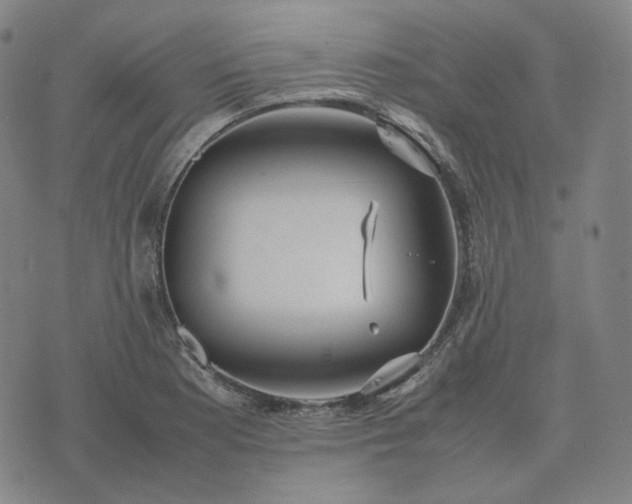 X0000074311177200609011505