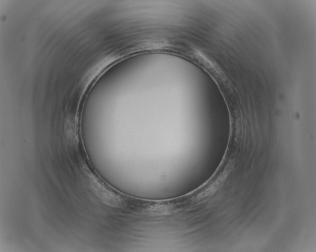 X0000074311178200609011505