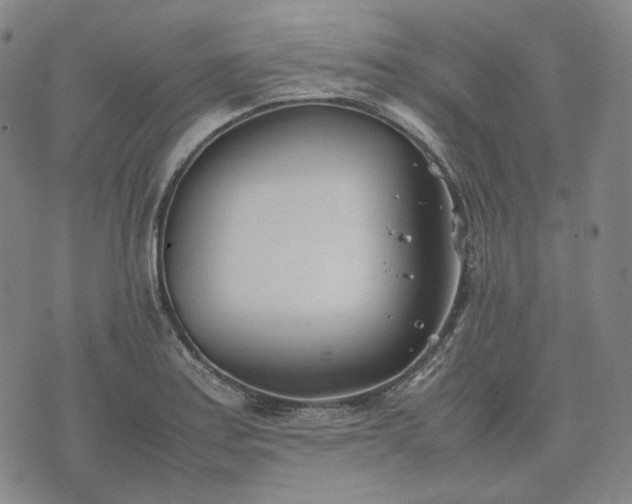 X0000074311179200609011505