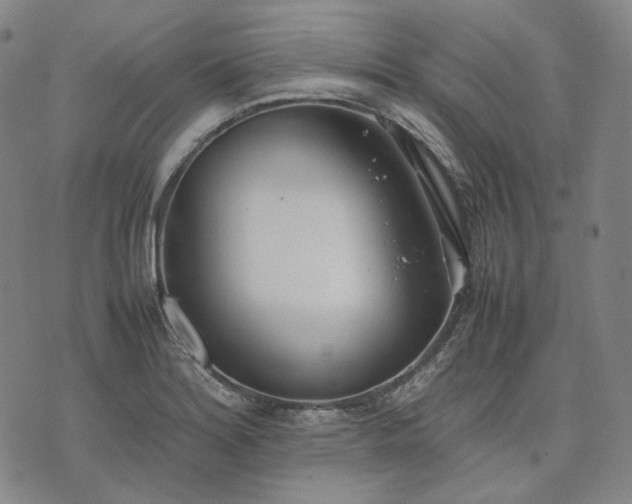 X0000074311180200609011505