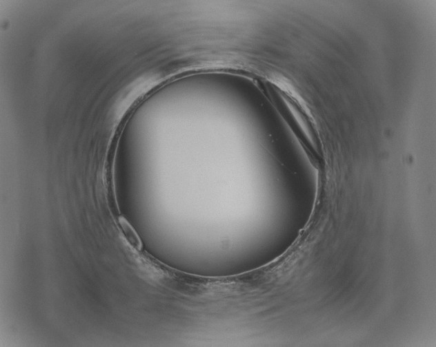 X0000074311181200609011505