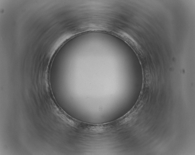 X0000074311182200609011505