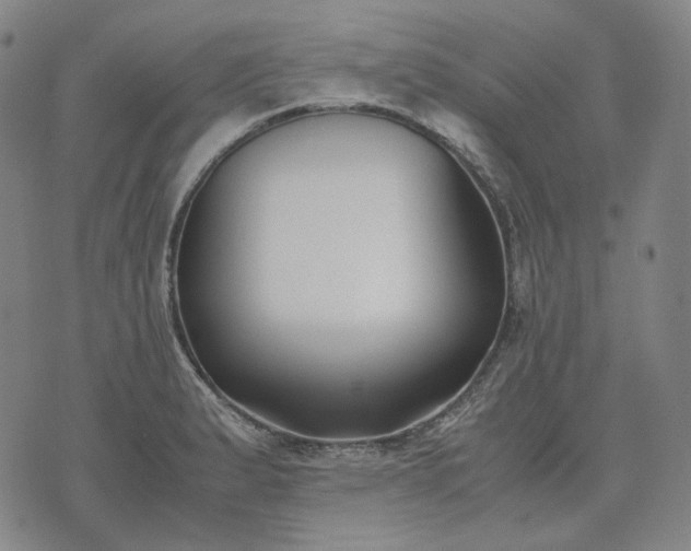 X0000074311183200609011505