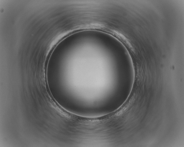 X0000074311184200609011505