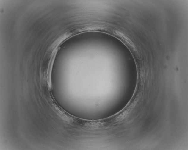 X0000074311185200609011505