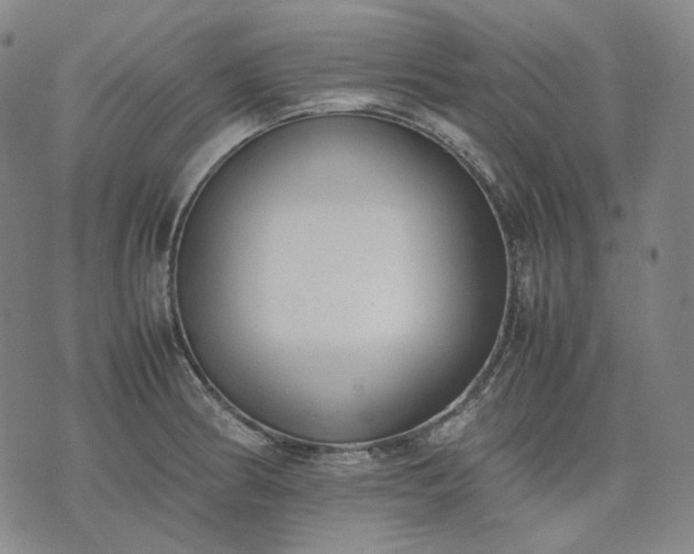 X0000074311186200609011504