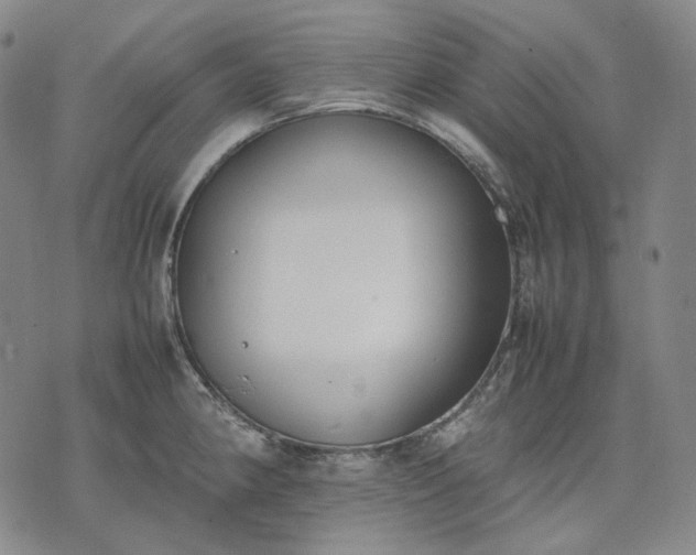 X0000074311190200609011504