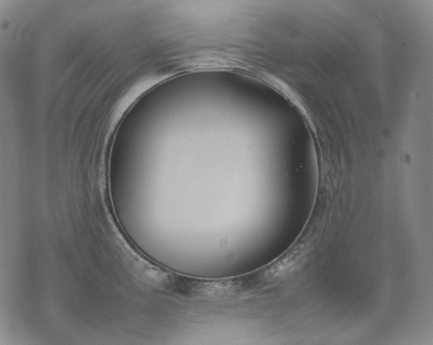 X0000074311195200609011504