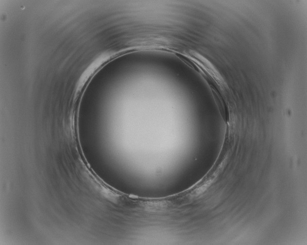 X0000074311196200609011504