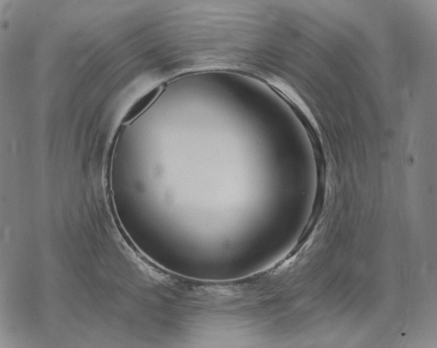 X0000074311197200609011504