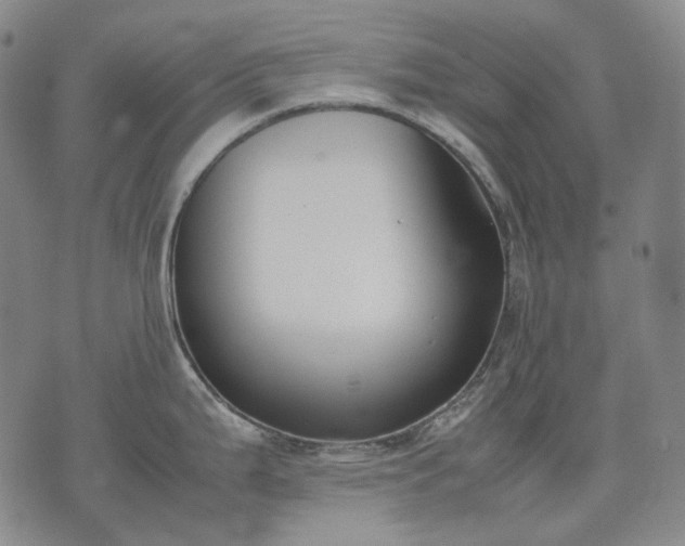 X0000074311199200609011504