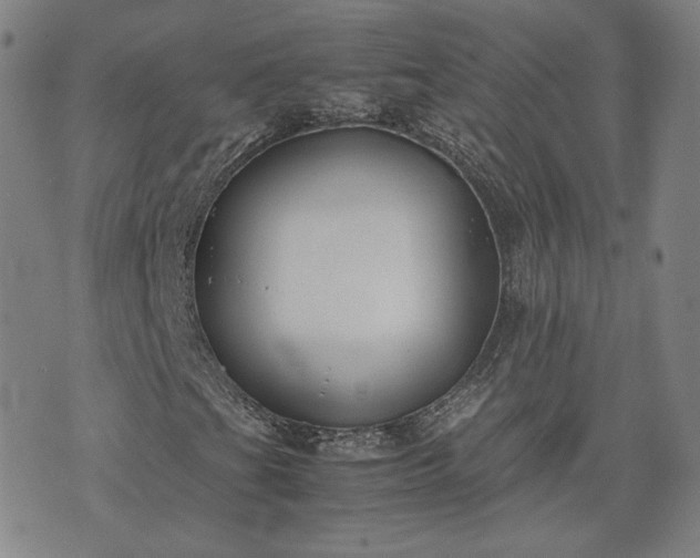 X0000074311201200609011503