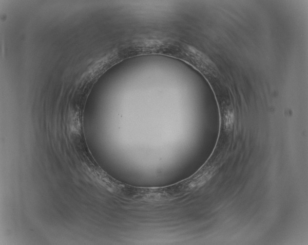 X0000074311204200609011504