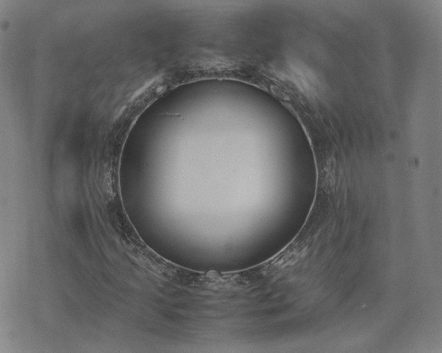 X0000074311205200609011504