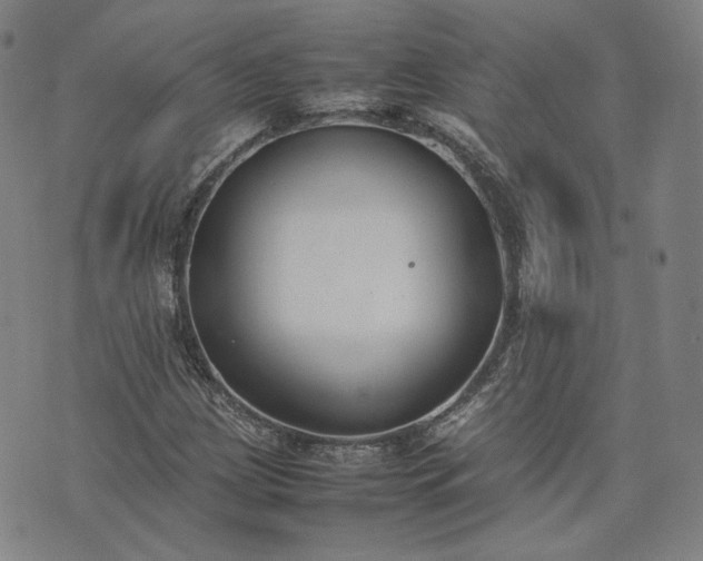 X0000074311209200609011504