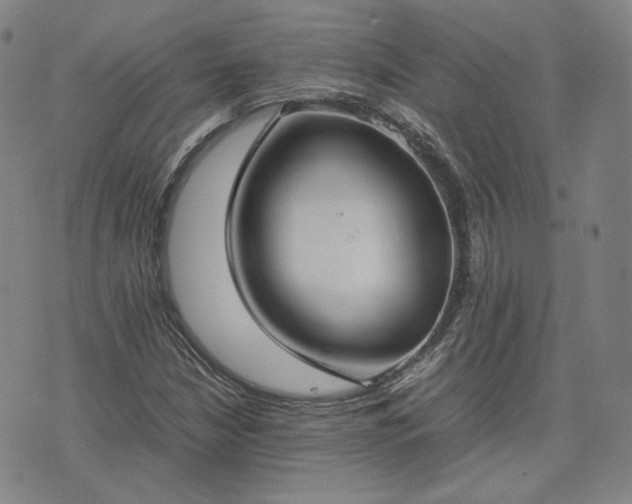 X0000074311210200609011504