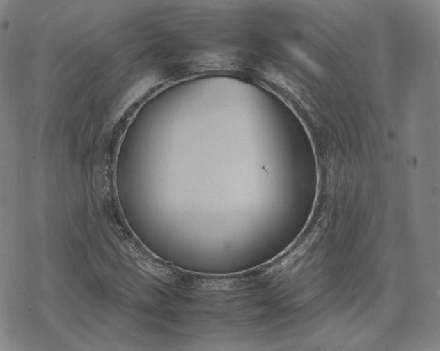 X0000074311211200609011504