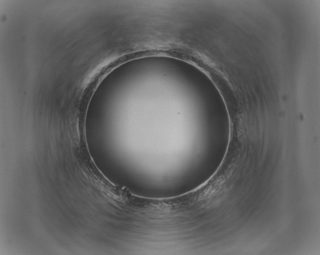 X0000074311214200609011504