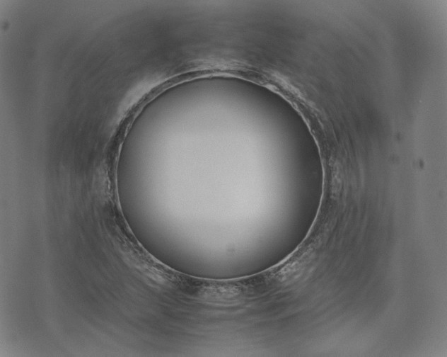 X0000074311215200609011504