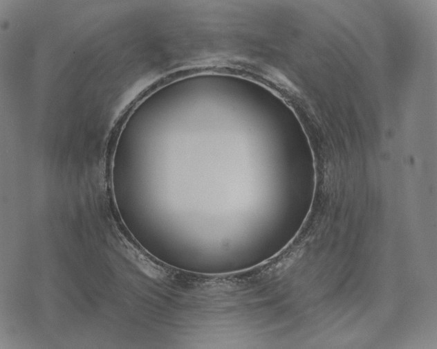 X0000074311216200609011504