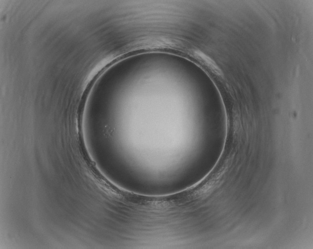 X0000074311226200609011504