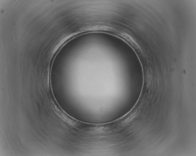 X0000074311228200609011504