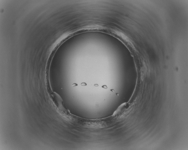 X0000074311229200609011504