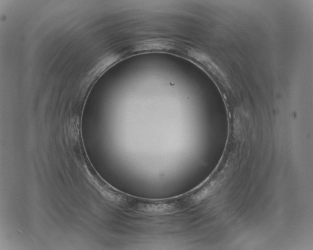 X0000074311233200609011504