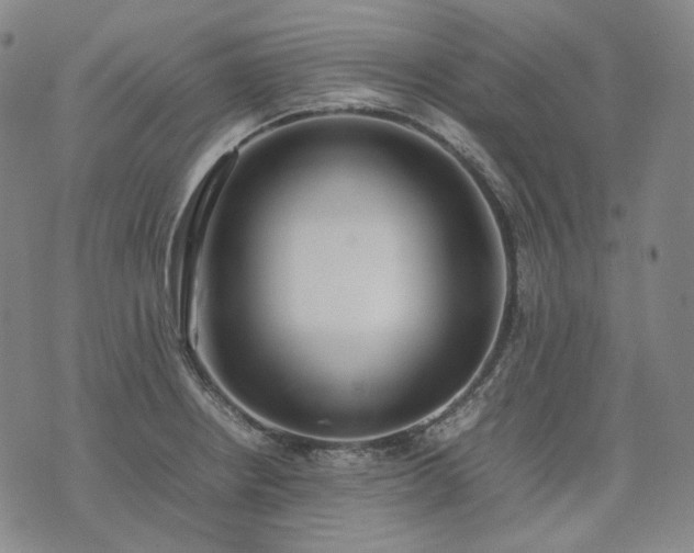 X0000074311234200609011504