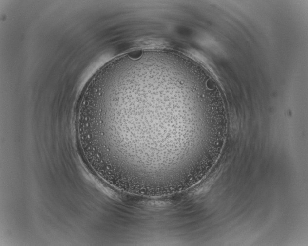 X0000074311235200609011504