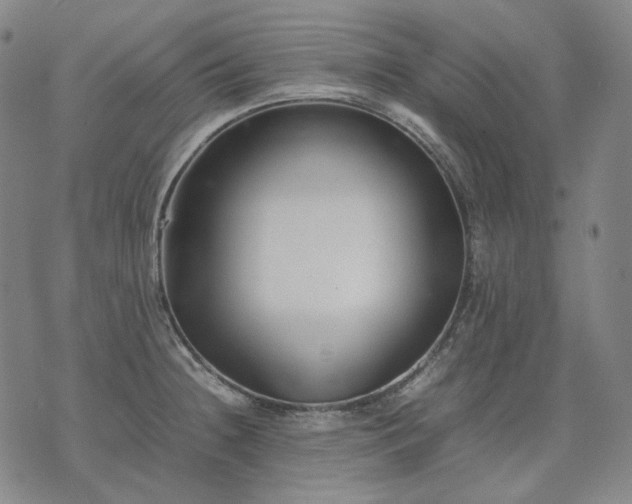 X0000074311236200609011504