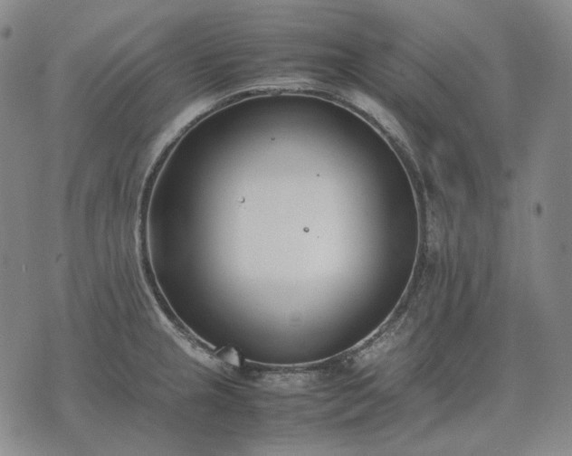 X0000074311237200609011504