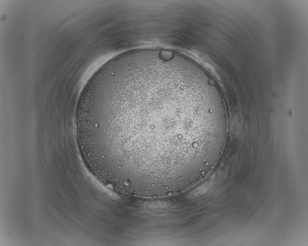 X0000074311239200609011504