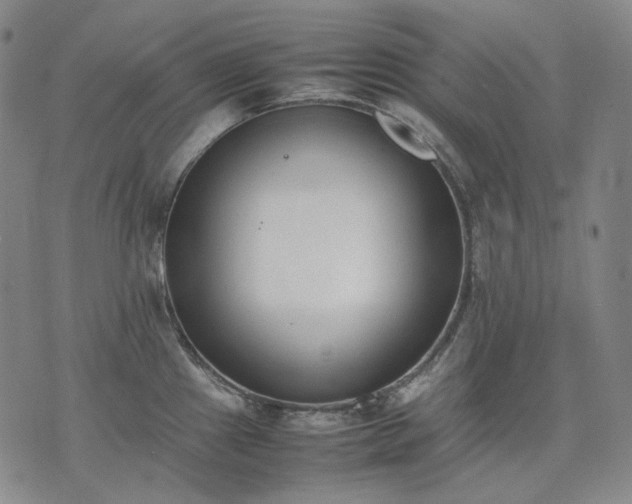 X0000074311241200609011504