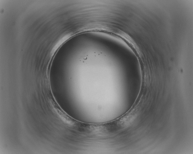 X0000074311242200609011504