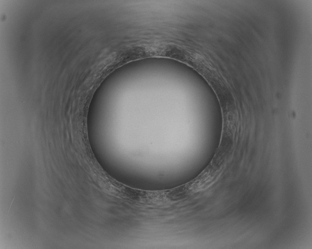 X0000074311249200609011503