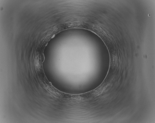 X0000074311250200609011503