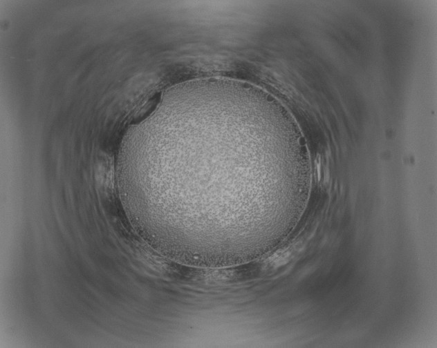 X0000074311251200609011503