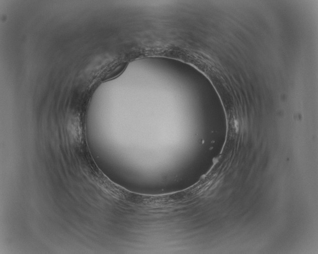 X0000074311252200609011503