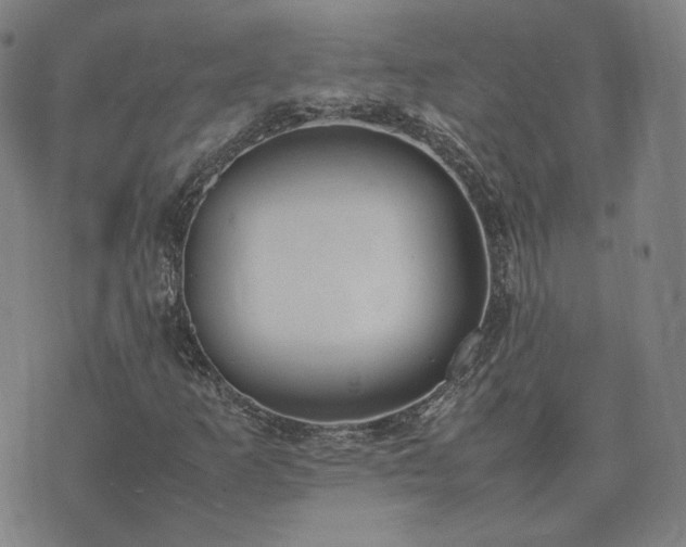 X0000074311253200609011503