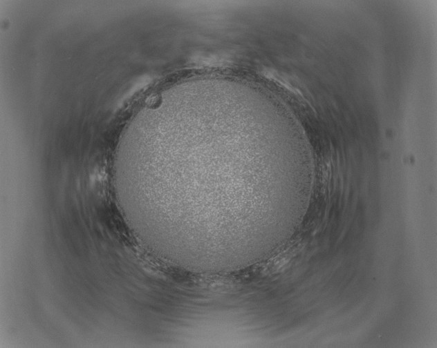 X0000074311254200609011503