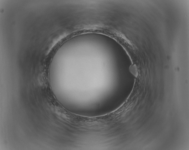 X0000074311256200609011503