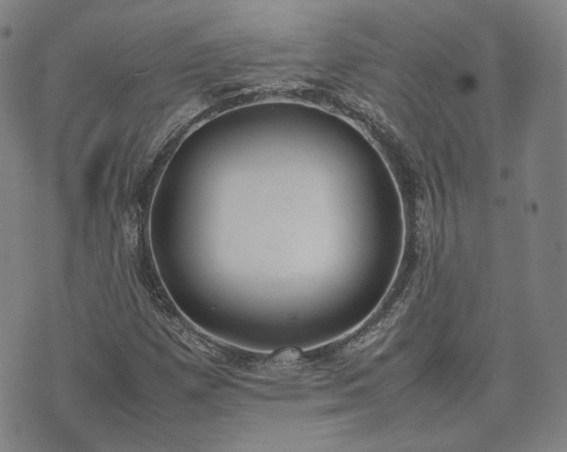 X0000074311257200609011503